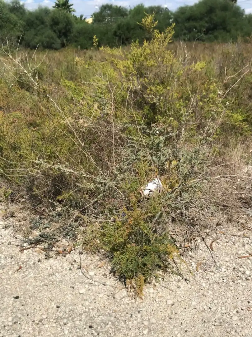 Terreno residencial en venta en La Foia - Daimés - Asprella, imagen 4