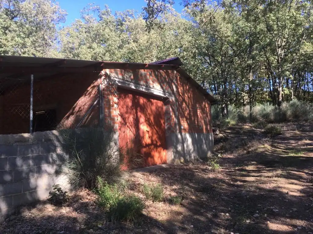 Terreni e lotti in vendita a Jarandilla de la Vera, imagen 4