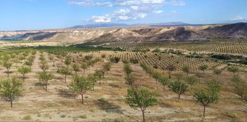 Vista exterior de Terreno en venta en Huélago