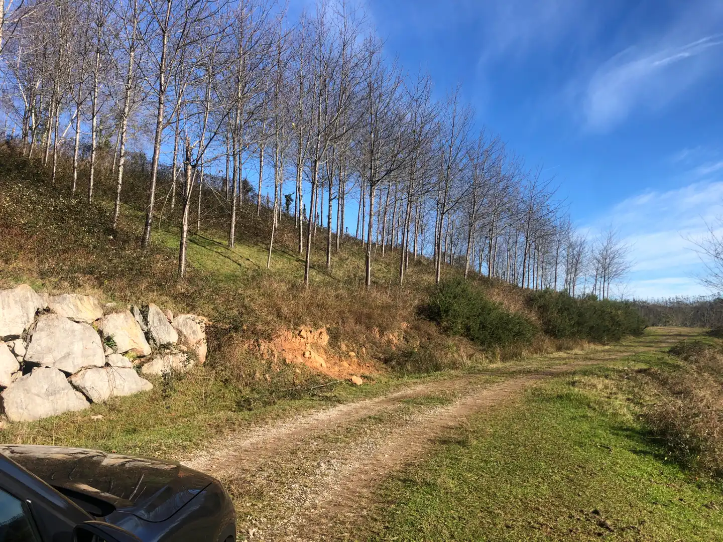 Casa o chalet en venta en Valdáliga con Calefacción, Jardín privado y Trastero