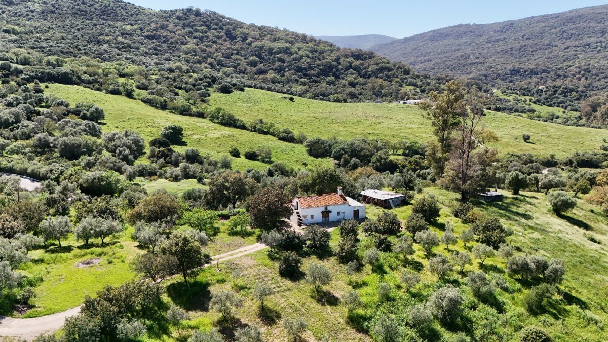 Vista exterior de Finca rústica en venta en Gaucín