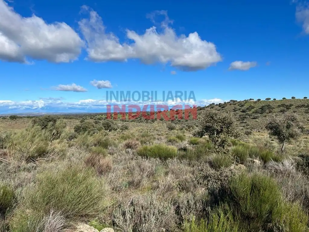 Finca rústica en venta en Carrascalejo