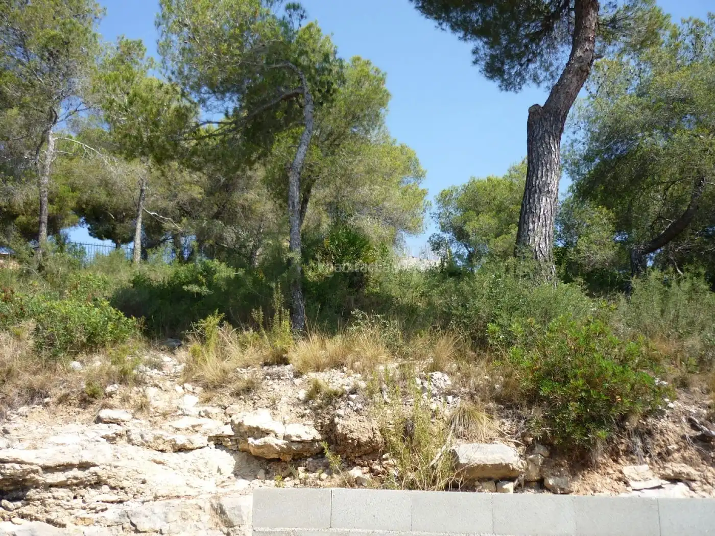 Terreno residencial en venta en Carrer Farigola 4, imagen 15