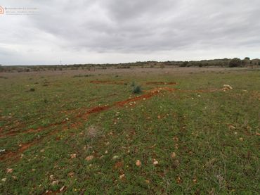 Terreny residencial en venda a Carretera sesSALINES