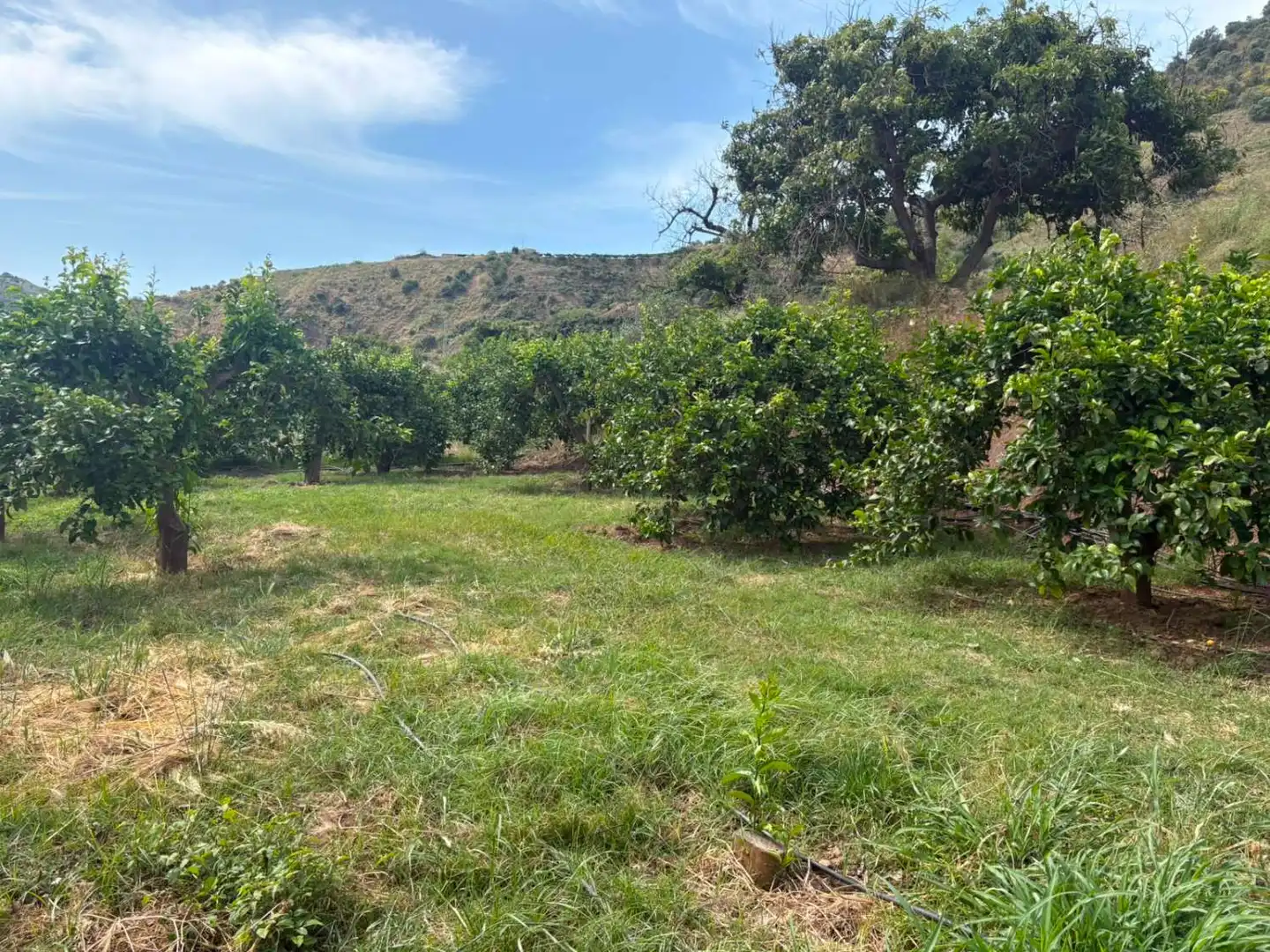 Residencial en venda en Cútar