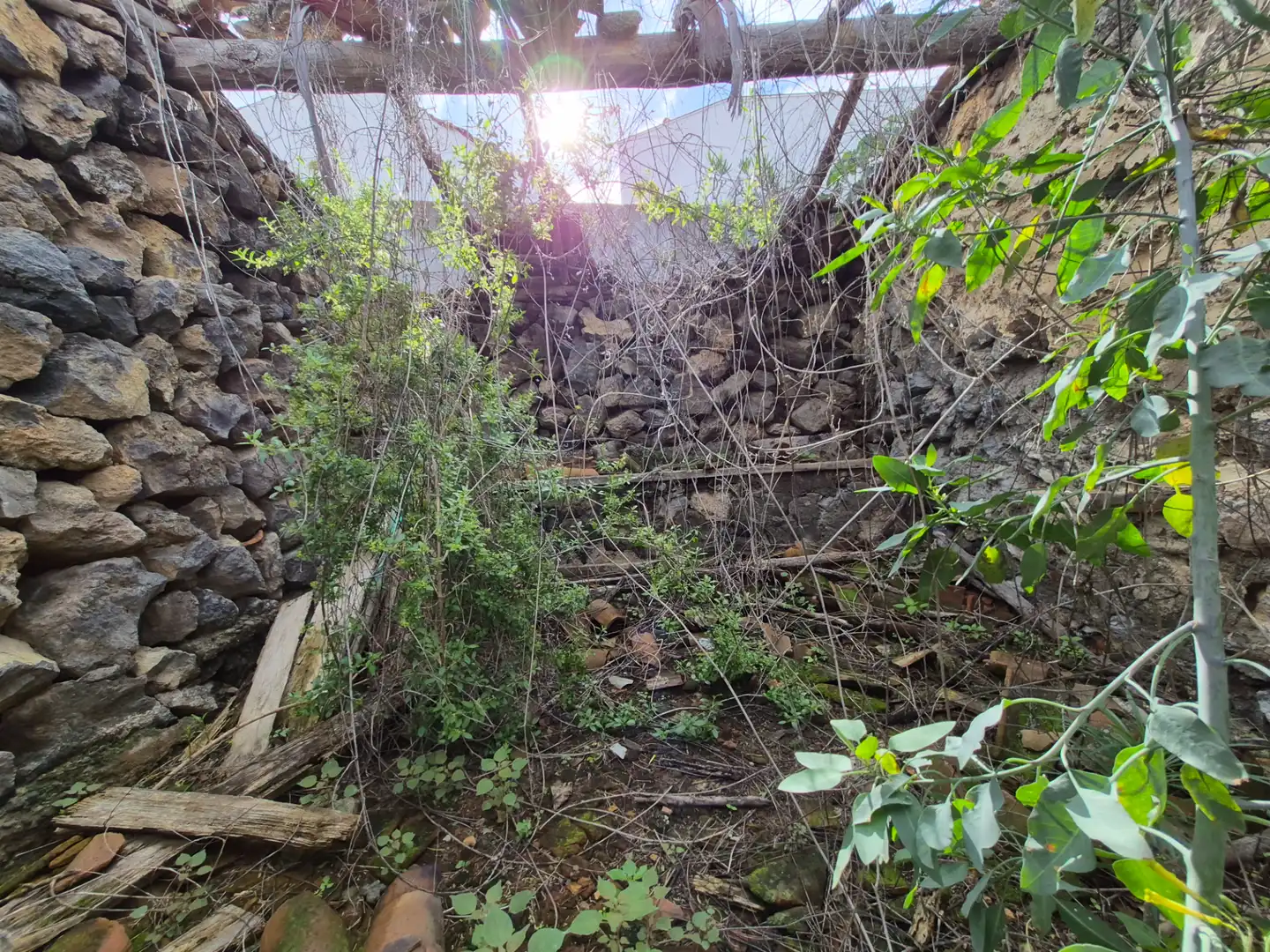 Rural land for sale in Camino la Cueva del Rey, imagen 37