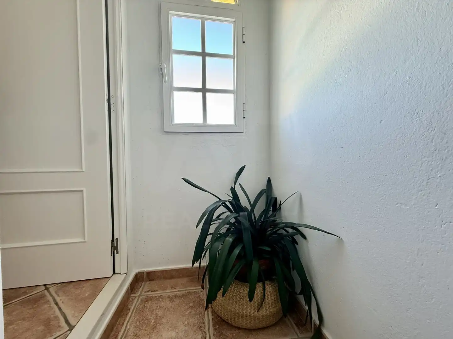 Chalet en venta en Lepe, imagen 30