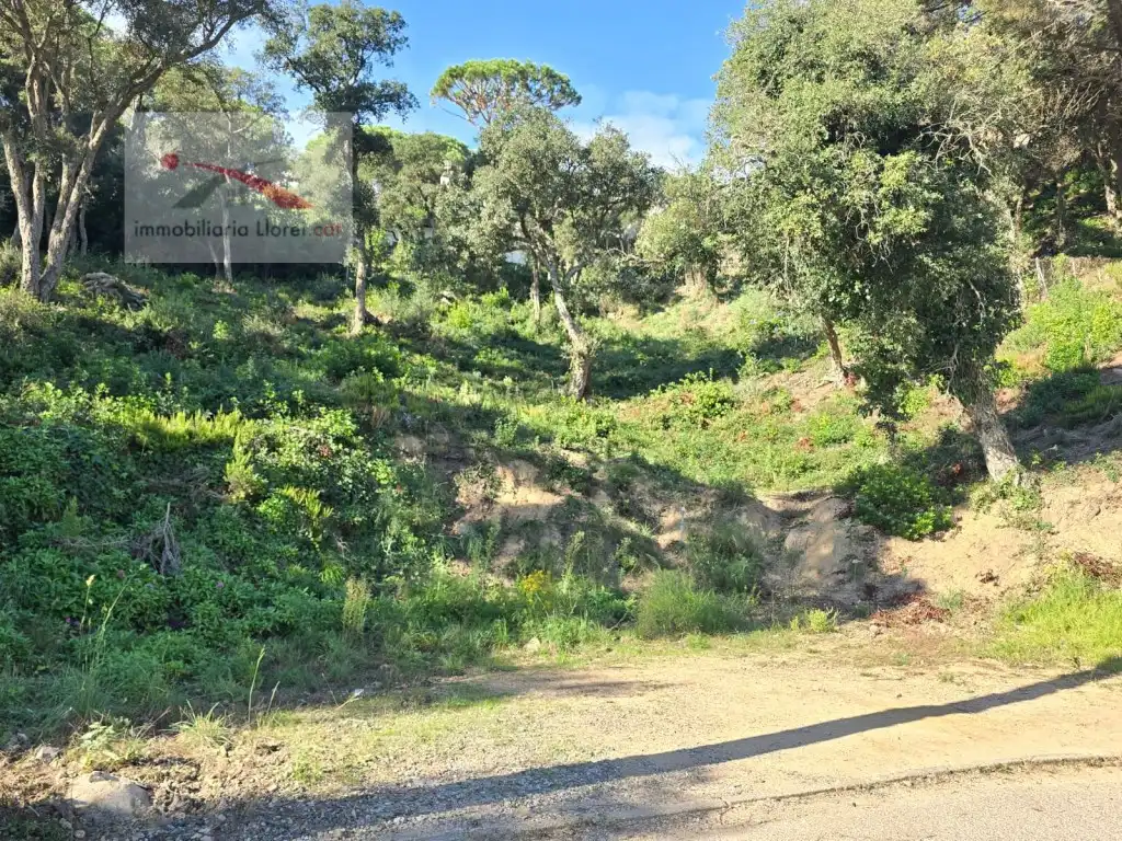 Terreno residencial en venta en Serra Brava, imagen 9