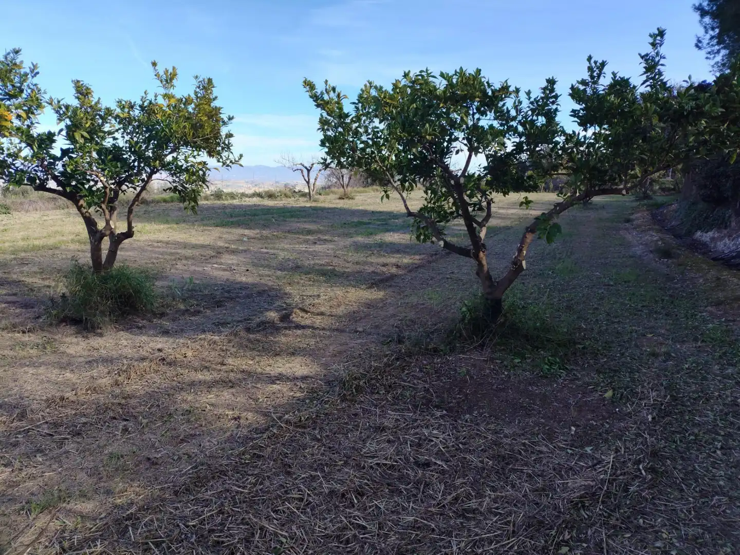 Terreno residenziale in vendita a Agullent, imagen 13