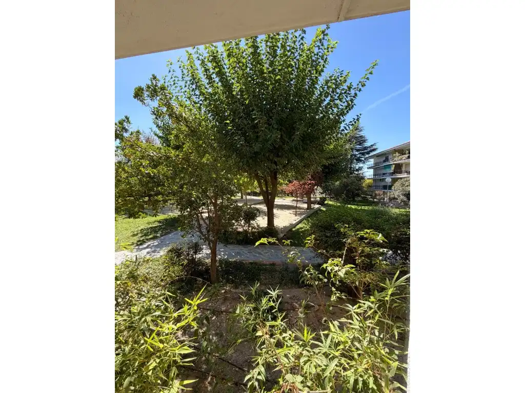Jardí de Àtic de lloguer en Parque Coimbra