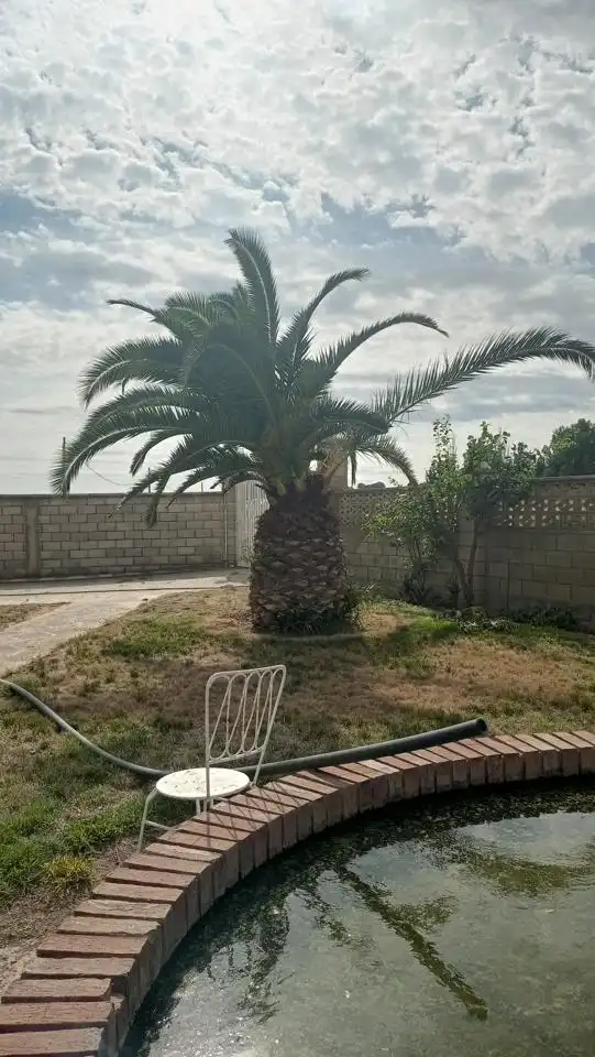 Jardín de Casa o chalet en venta en Pinseque con Calefacción, Jardín privado y Piscina