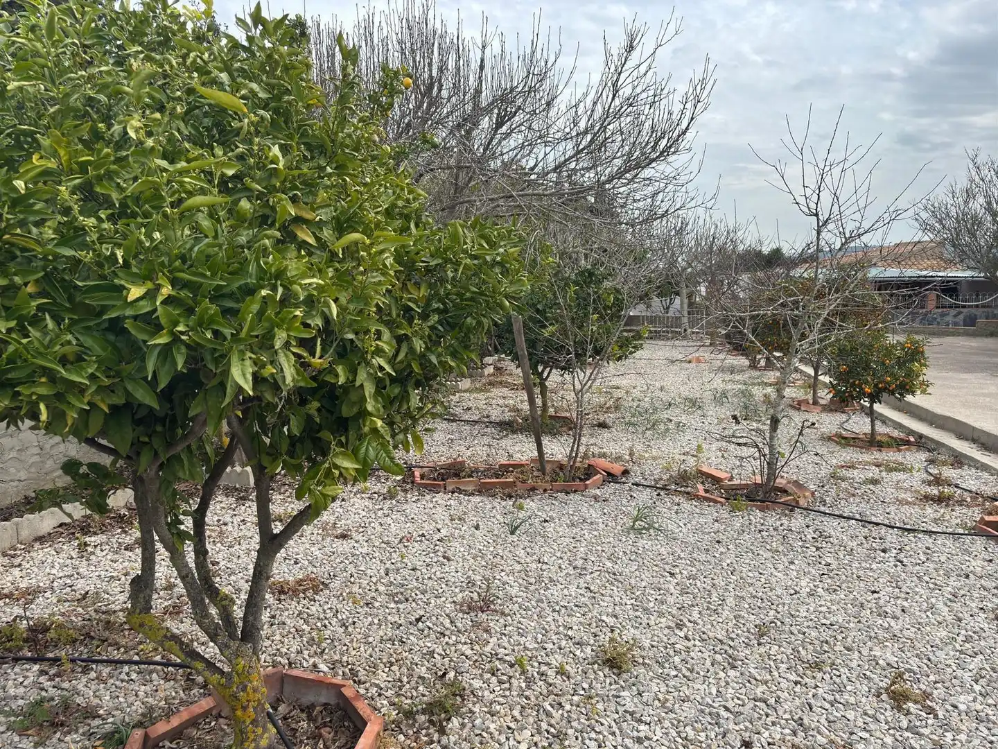 Casa rústica amb jardí en venda a Vejer, imagen 26