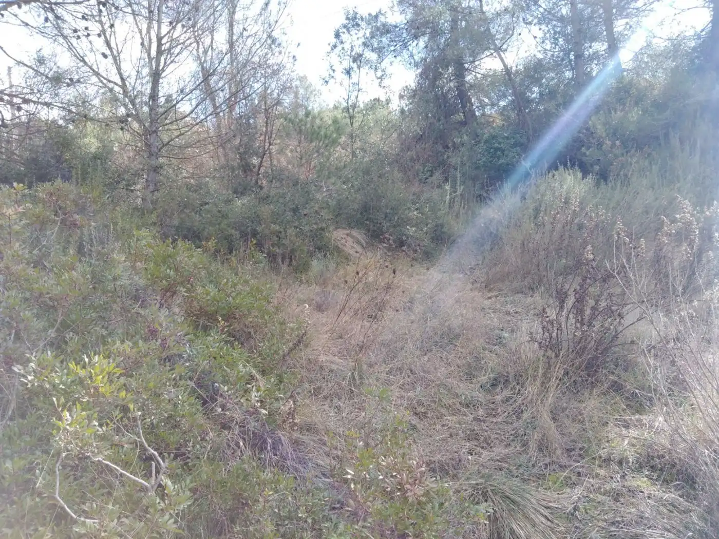 Wohnbaugrundstück zum Verkauf in Calle GENETA, imagen 2