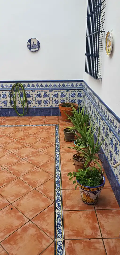 Terraza de Casa o chalet en venta en Brenes con Aire acondicionado, Jardín privado y Terraza