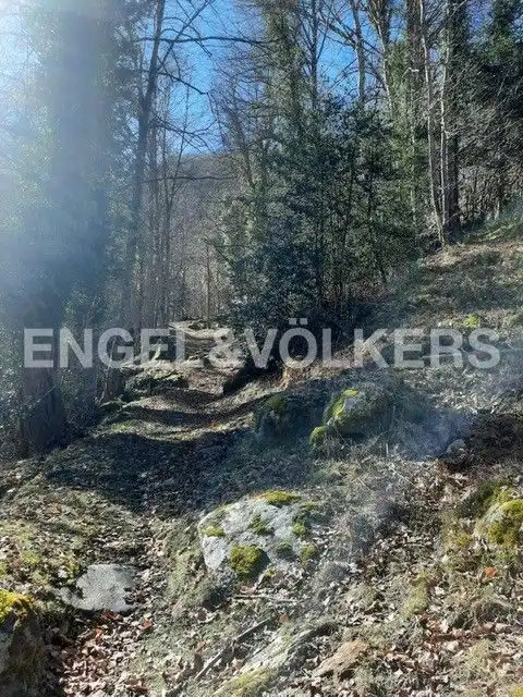 Rustikales Grundstück zum Verkauf in Canejan, imagen 6