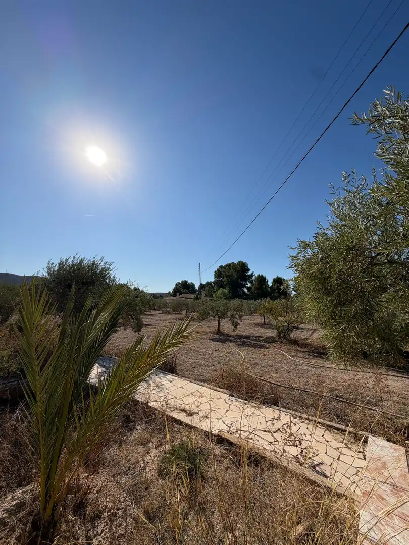 Finca rústica en venta en Campo Alto - Club de Campo  