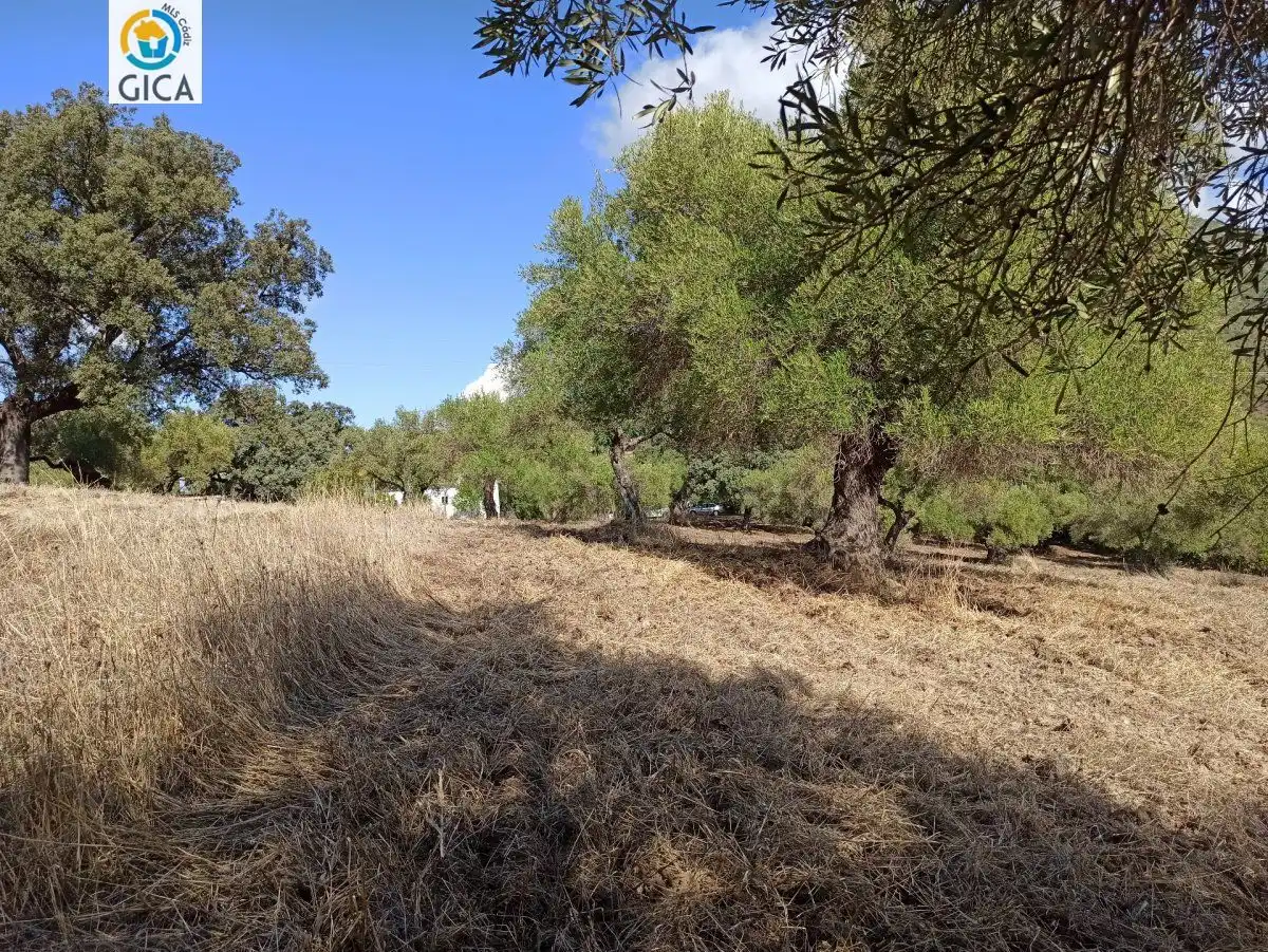 Casa rústica en venda a El Bosque, imagen 29