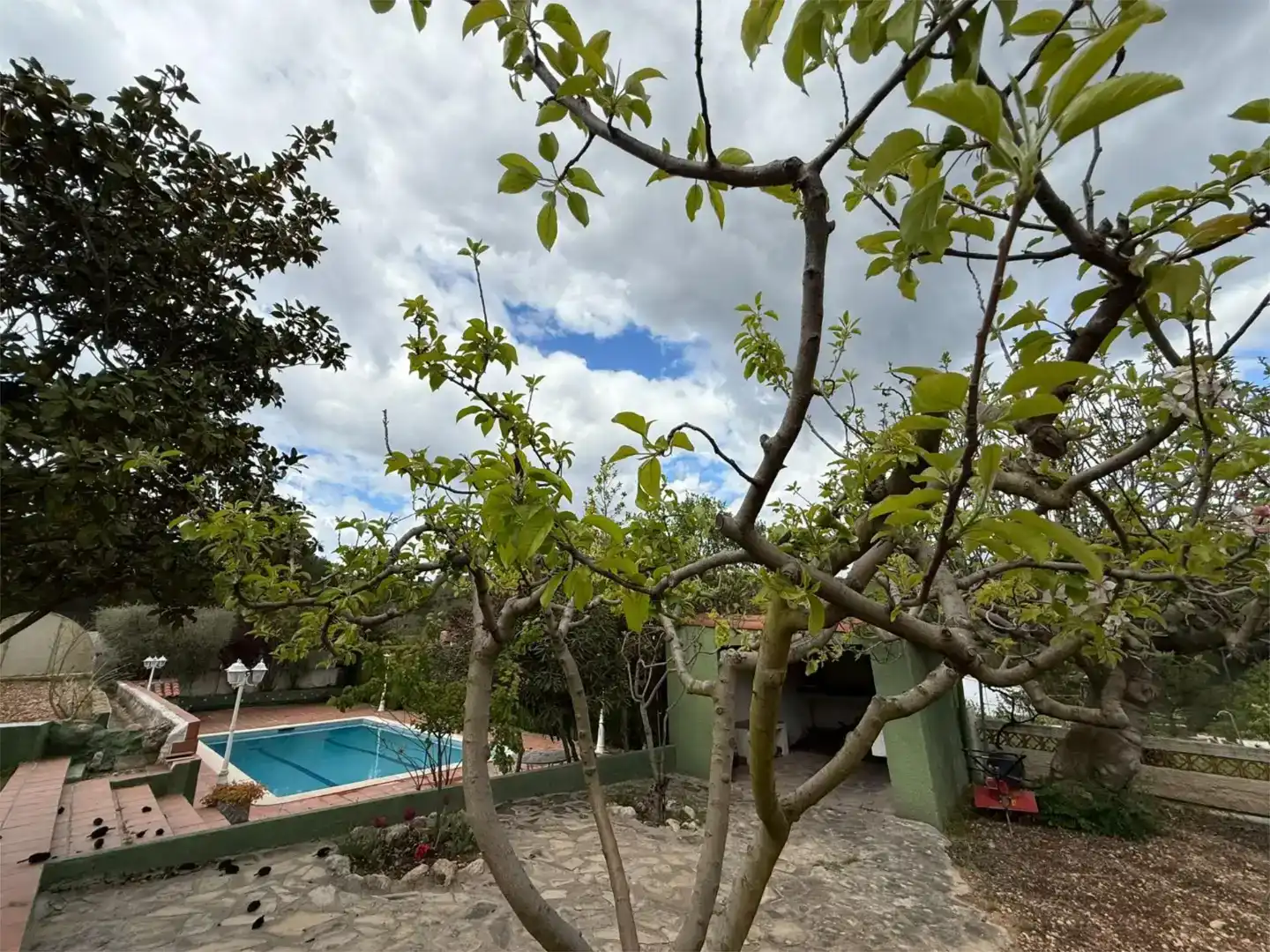 Jardí de Pis de lloguer en Aiguamúrcia amb Jardí privat, Traster i Piscina