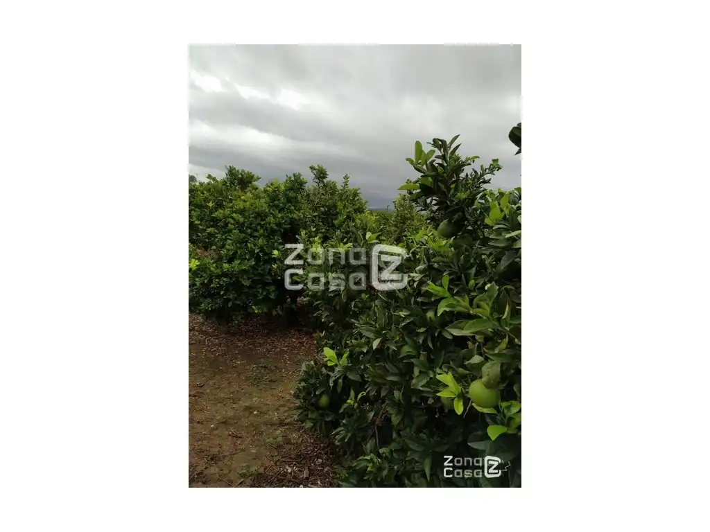 Country house for sale in Algemesí, imagen 3