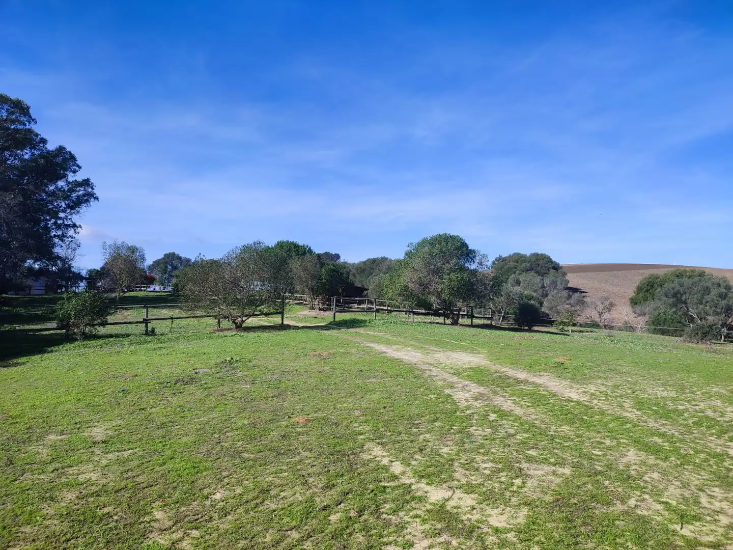 Haus oder Chalet zum Verkauf in Vejer de la Frontera mit Heizung, Privatgarten und Parkett