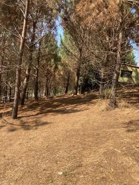 Casa o xalet en venda en Carballo amb Terrassa i Forn