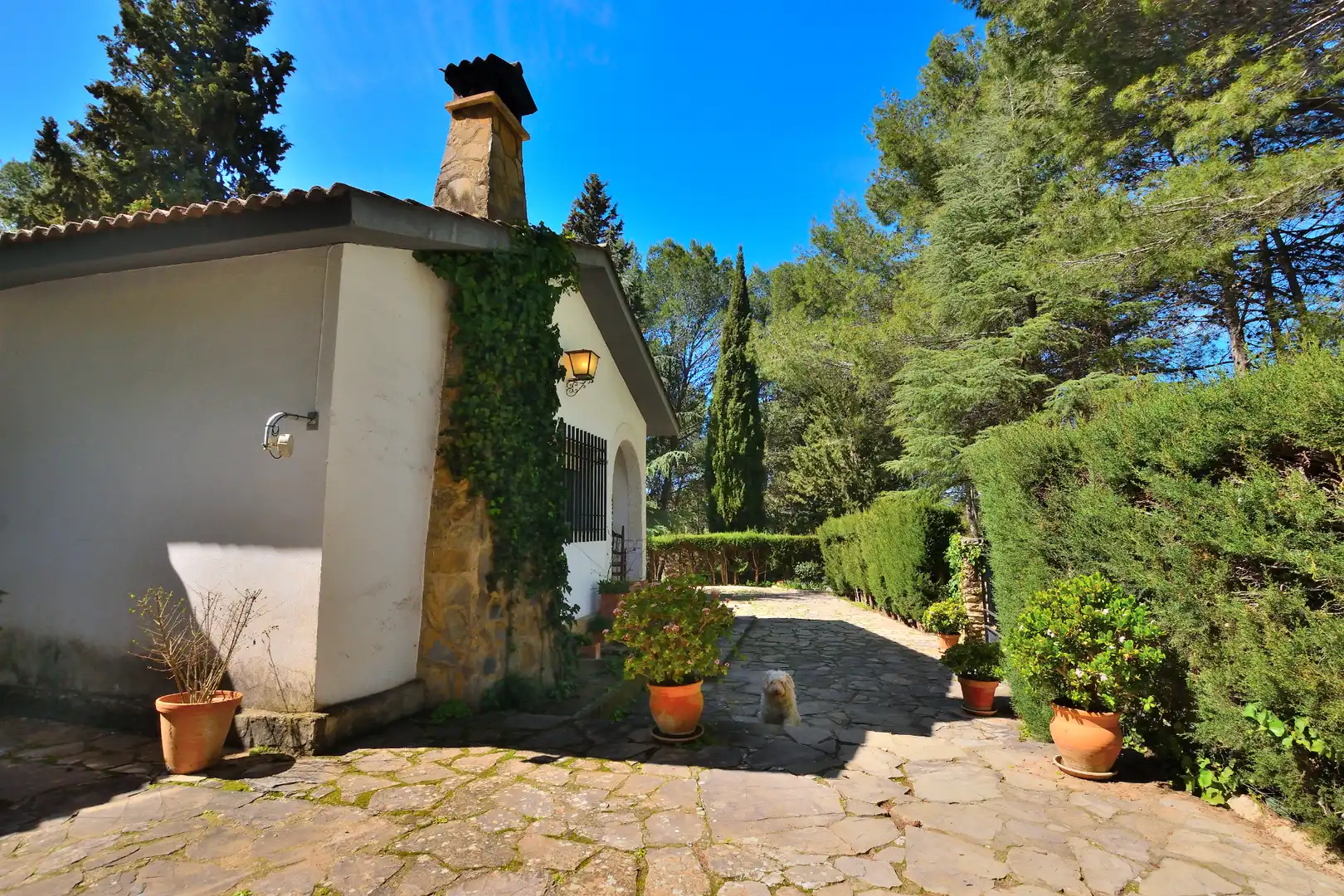 Jardín de Finca rústica en venta en Ronda con Jardín privado, Trastero y Piscina