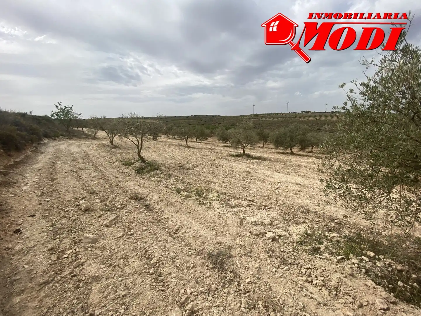Terrenys i solars en venda a Padul, imagen 10