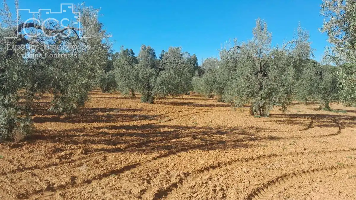 Terreni e lotti in vendita a Almonte ciudad, imagen 7