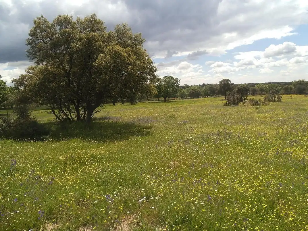 Residencial en venda en Valdemorillo