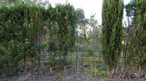 Foto 4 de Residencial en venta en Golf Costa Brava, Santa Cristina d'Aro