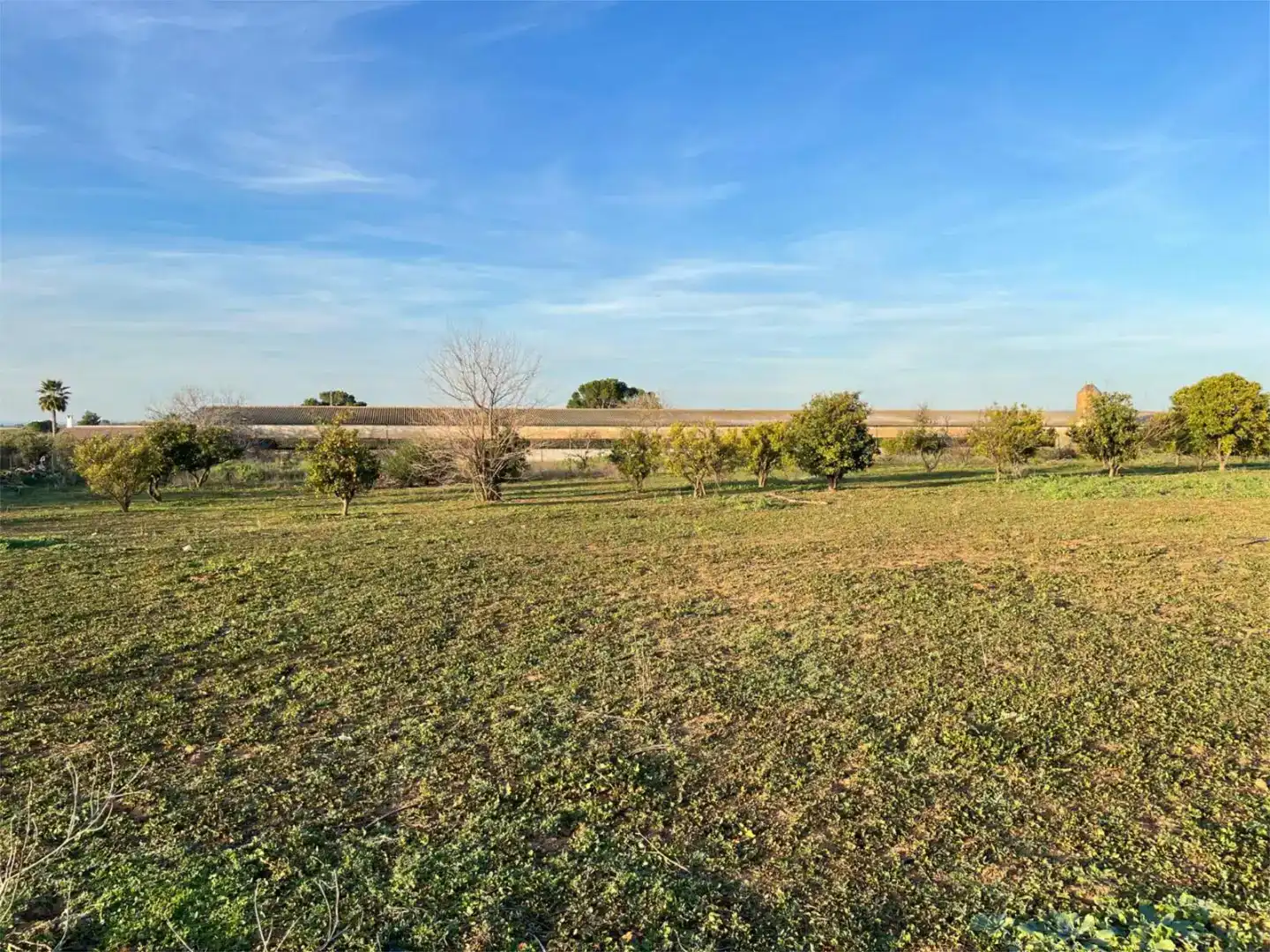 Terreno en venta en Benacazón