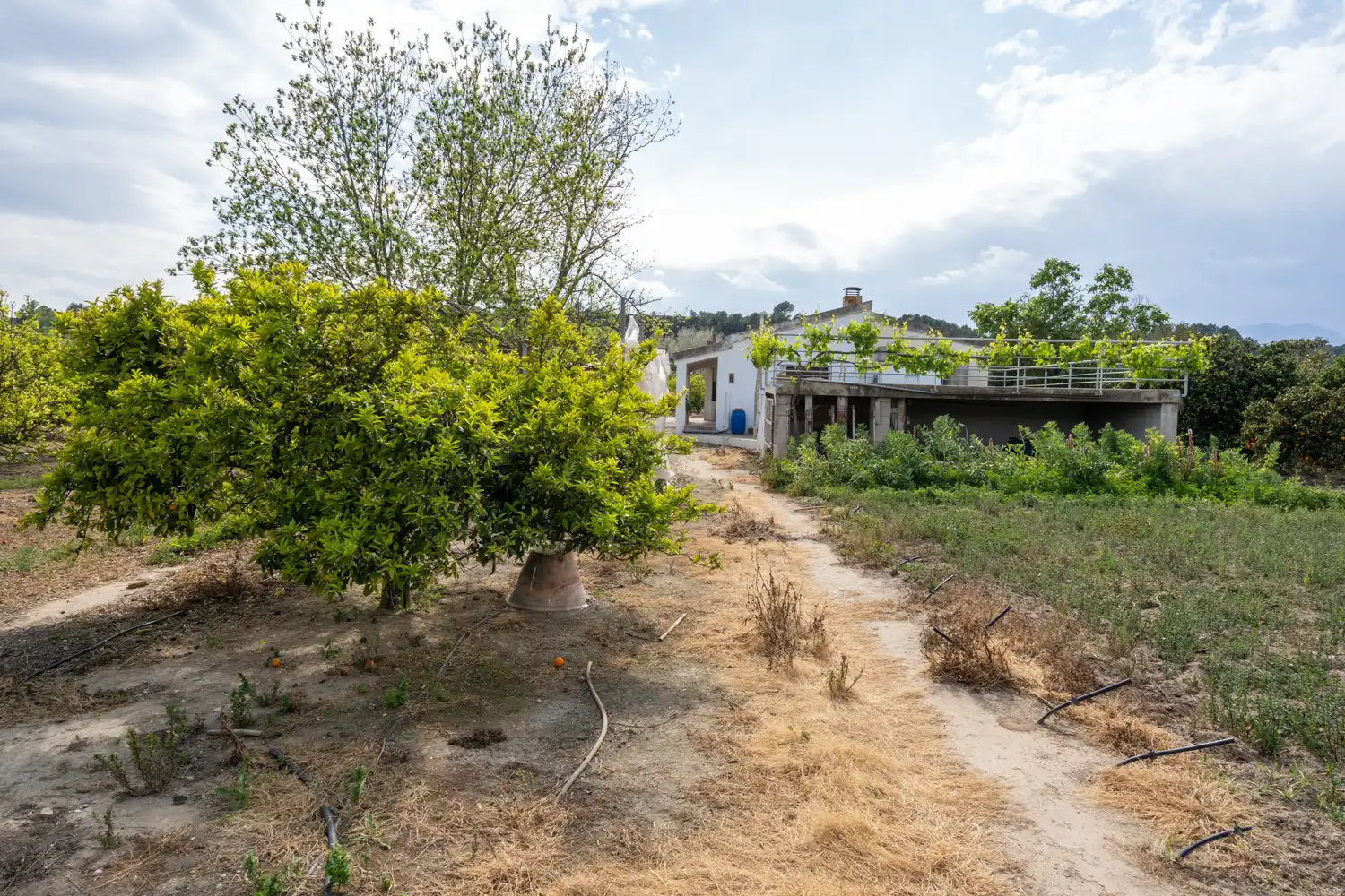 Terrain rustique à vendre à Bítem, imagen 11