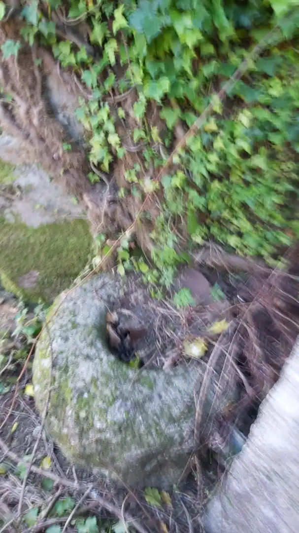Casa rústica amb terrassa en venda a Lugar Cabreiro-Tremoedo 3A, imagen 18