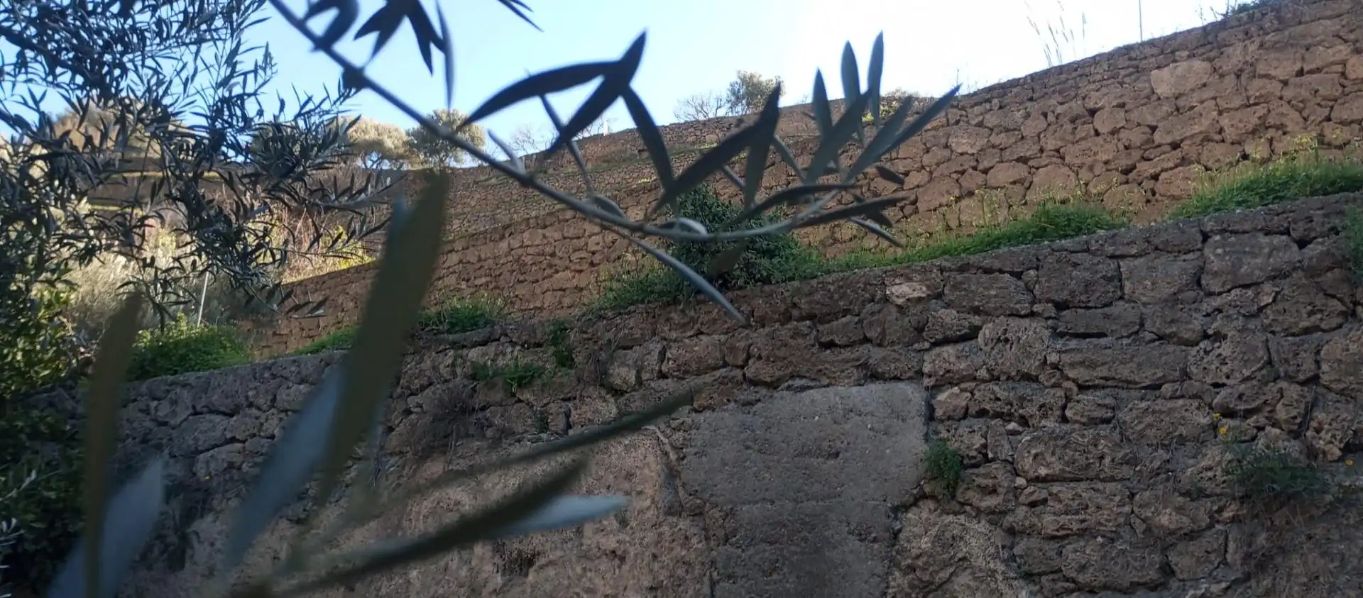 Casa rústica amb jardí en venda a Vélez de Benaudalla, imagen 17