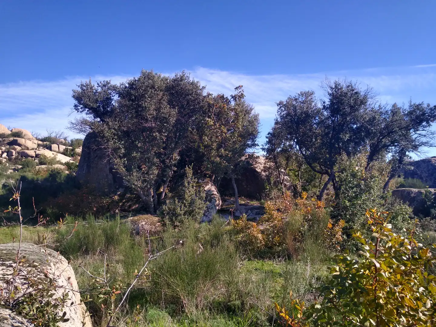 Rural land for sale in Cadalso de los Vidrios, imagen 21