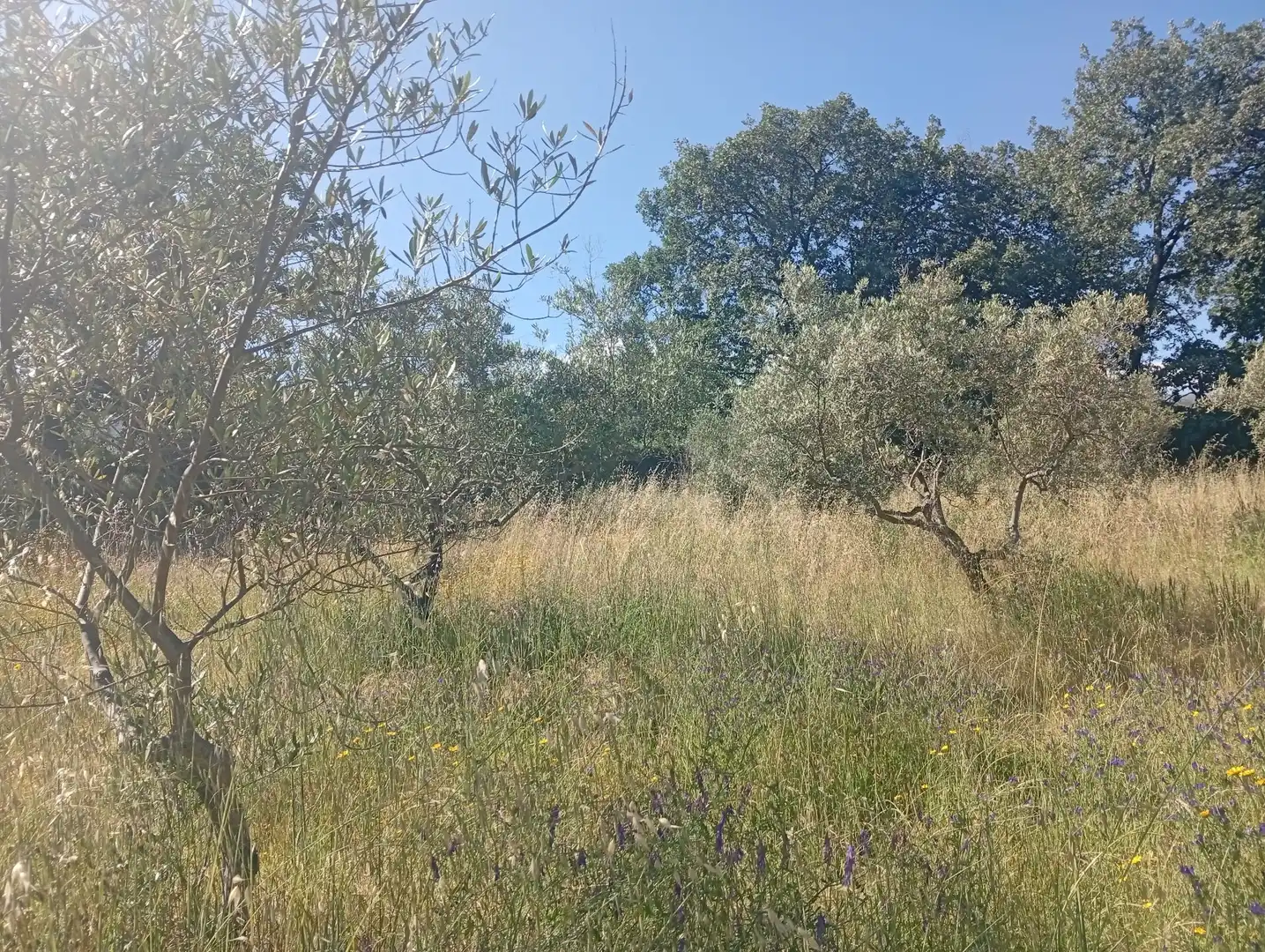 Maison à vendre à Villanueva de la Vera, imagen 62