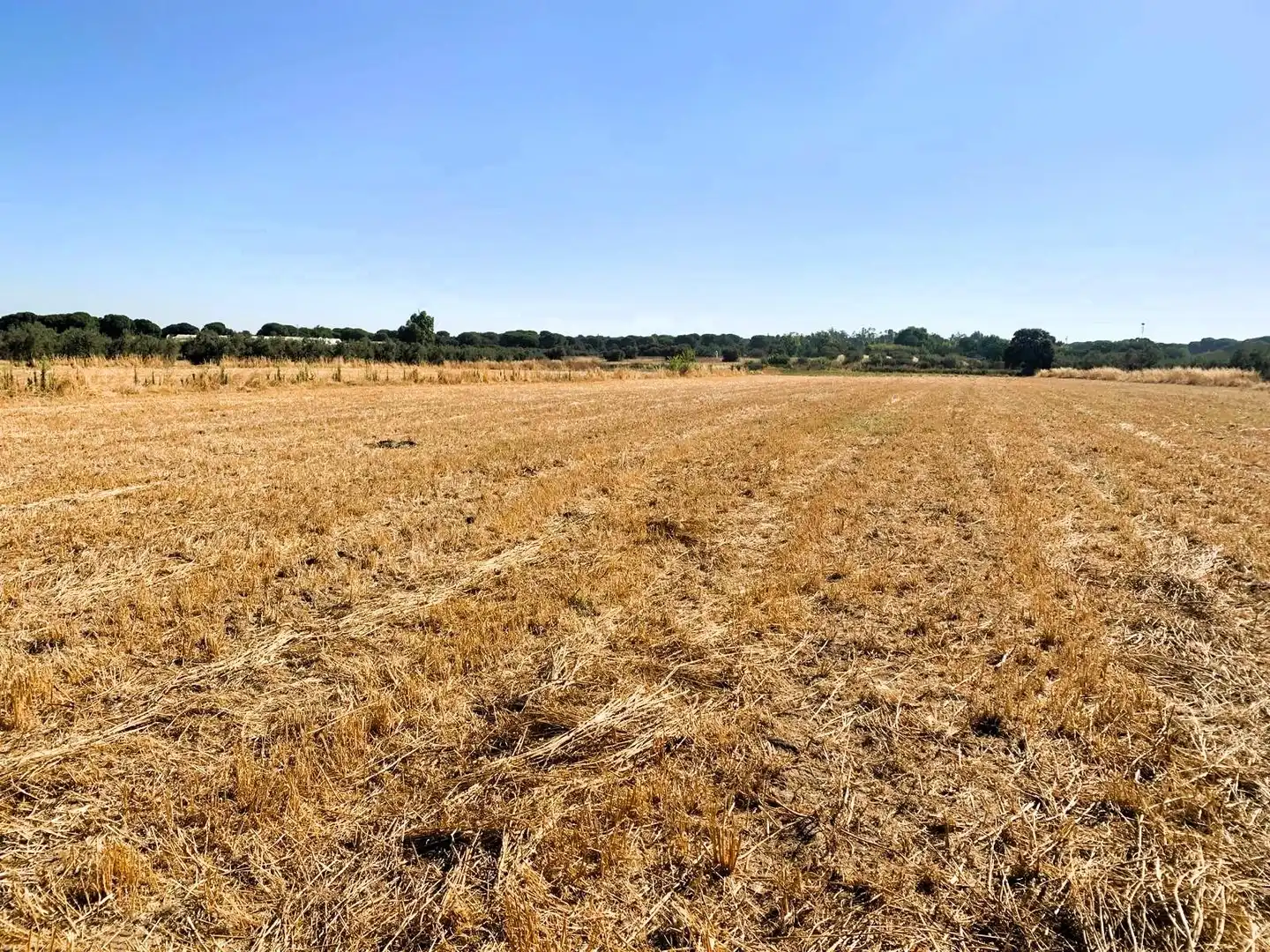 Terreno en venta en Villamanrique de la Condesa