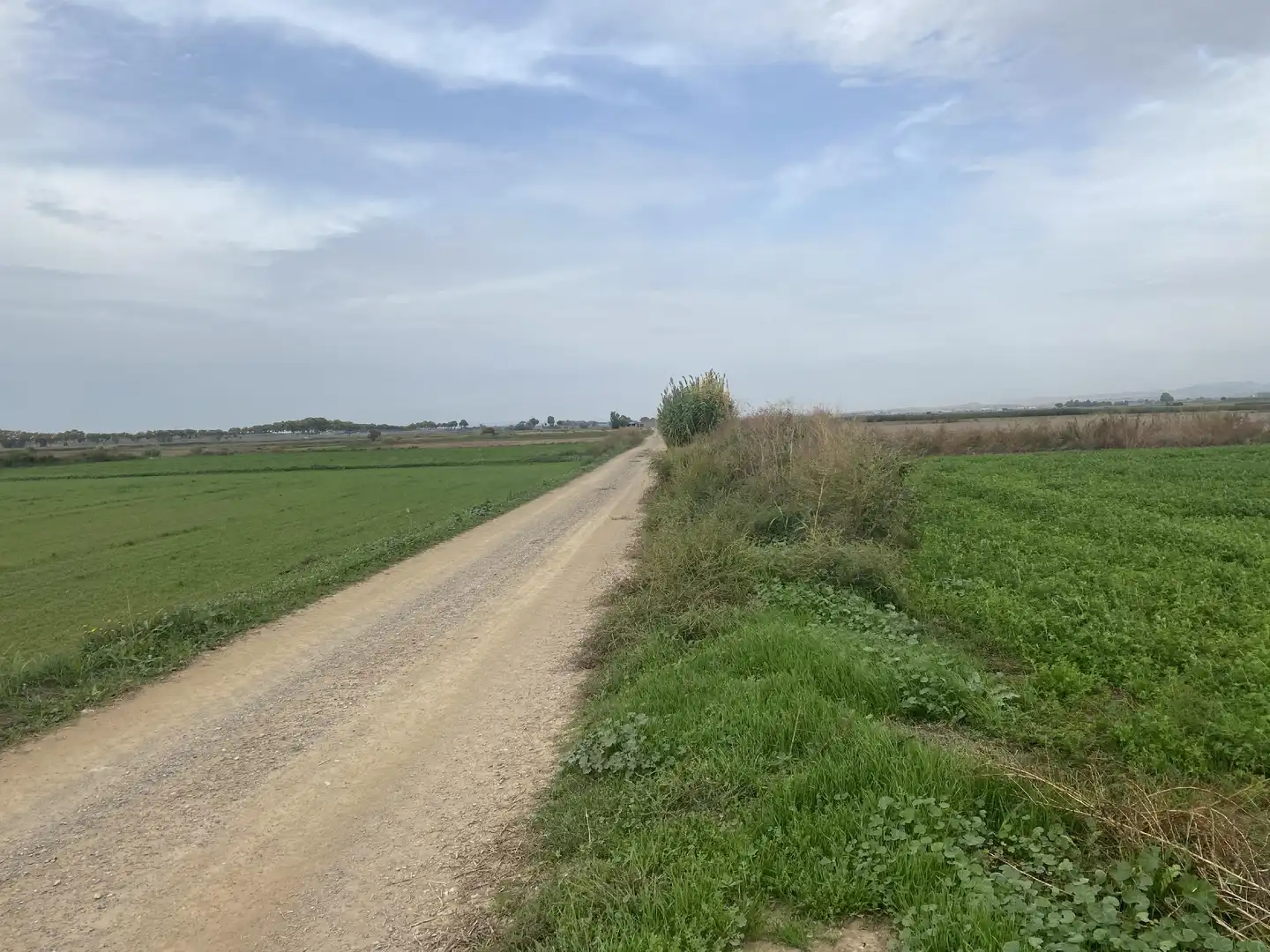 Terreny rústic en venda a Bellcaire d'Urgell, imagen 4
