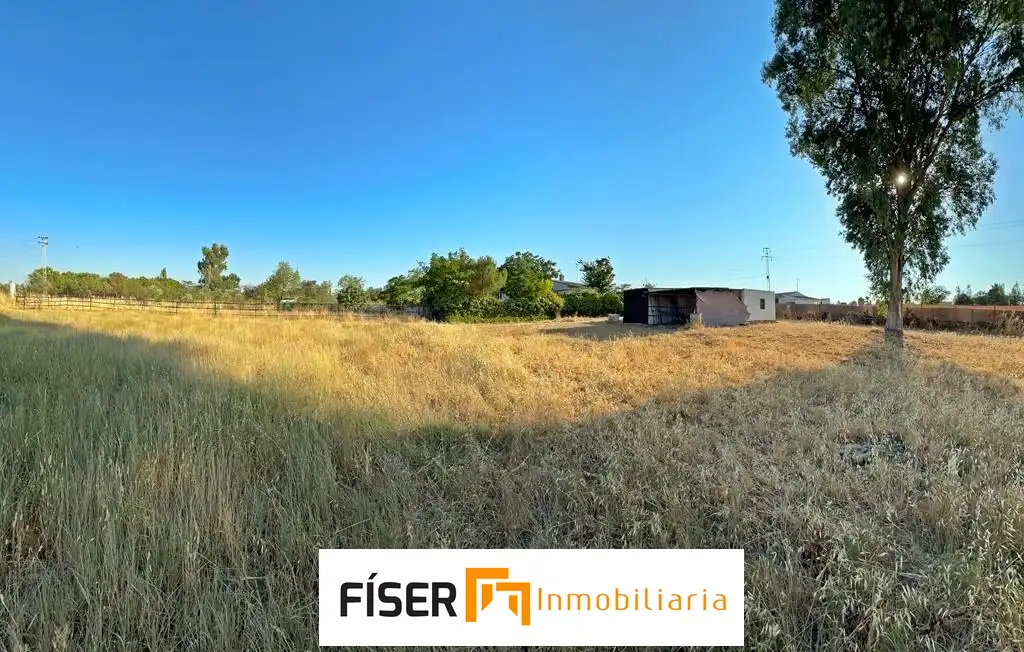 Terreni e lotti in vendita a Barrio Palomar Navas, imagen 33