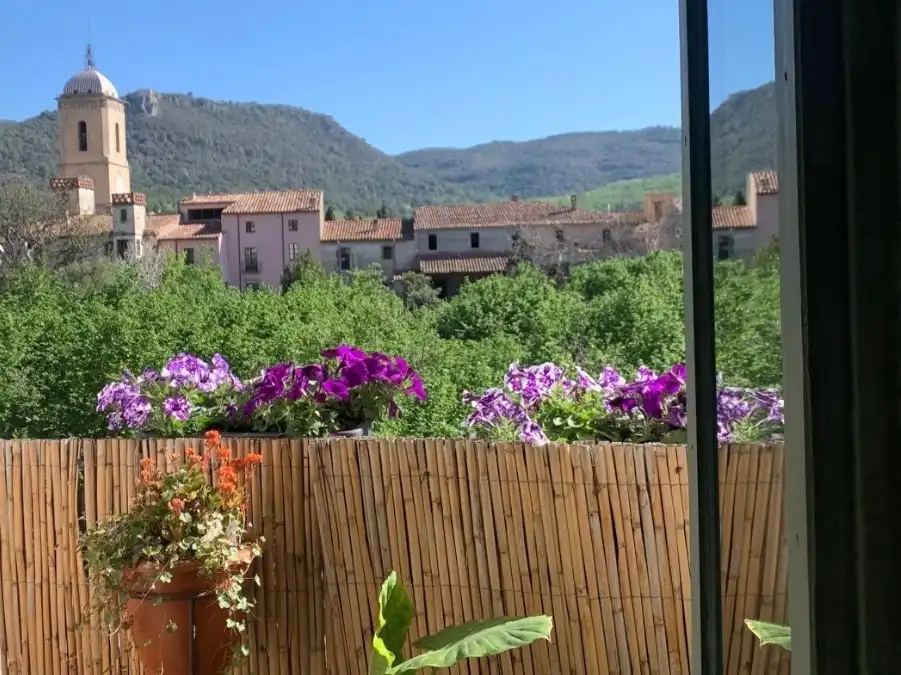 Adossat amb jardí en venda a Passeig Firal 3, imagen 11