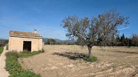 Photo 5 of Land for sale in Camí de Son Mulet, Marratxinet, Illes Balears
