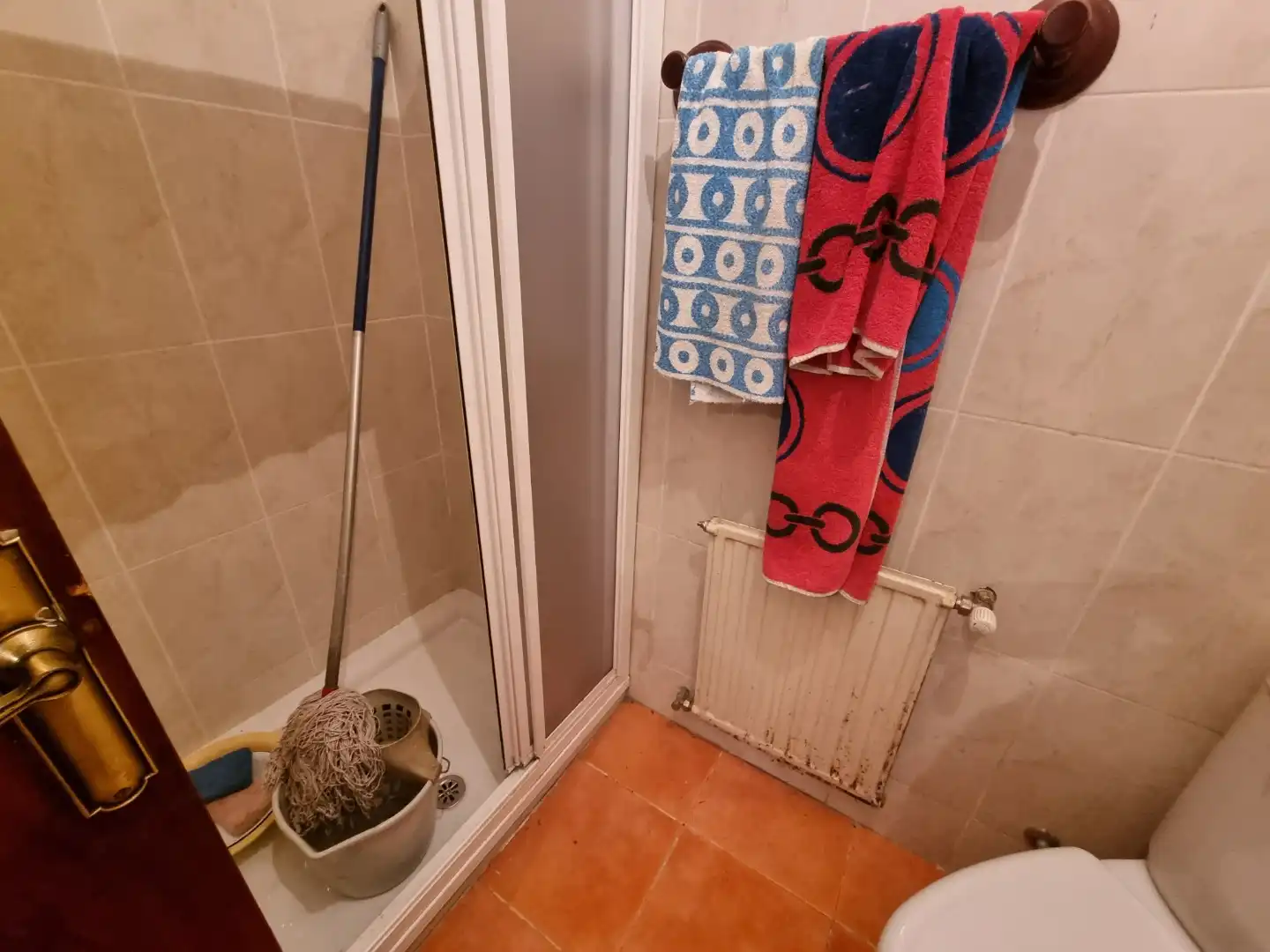 Bany de Casa adosada en venda en Burgos amb Jardí privat