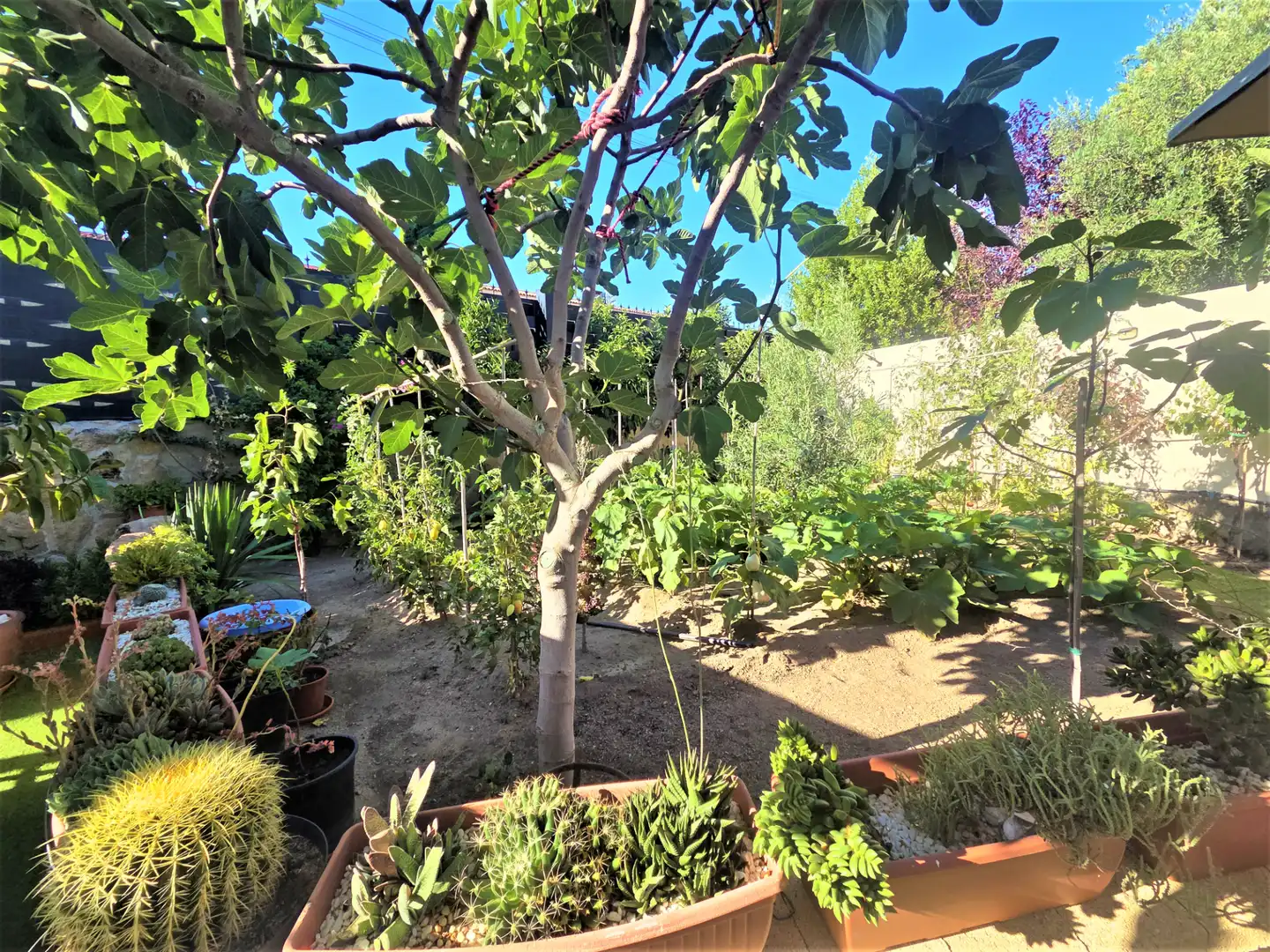Garden of Detached homes for sale in Navalagamella  with Air Conditioner, Heating and Private garden