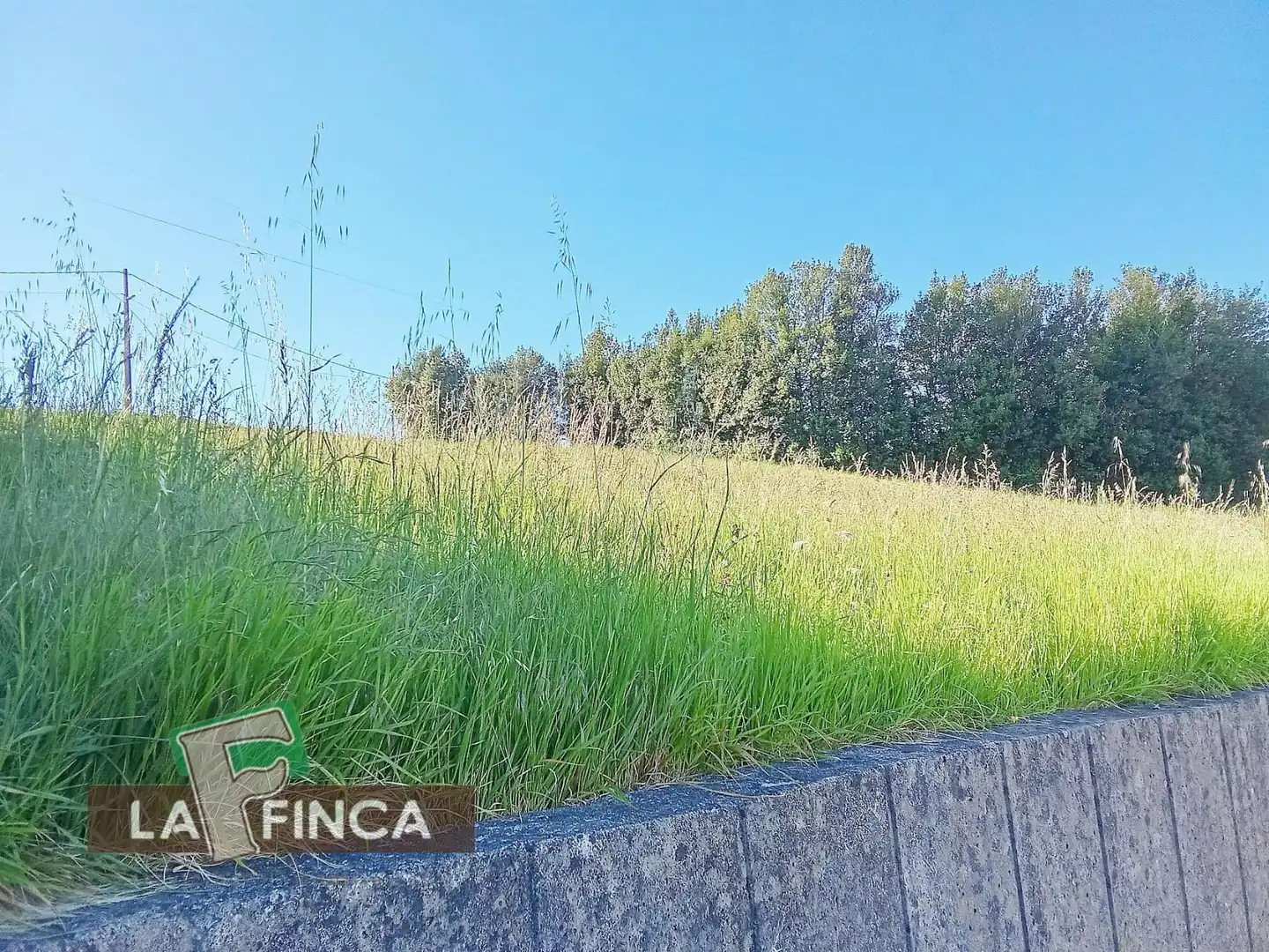 Lands and plots for sale in ALTO DEL PRAVIANO, imagen 2