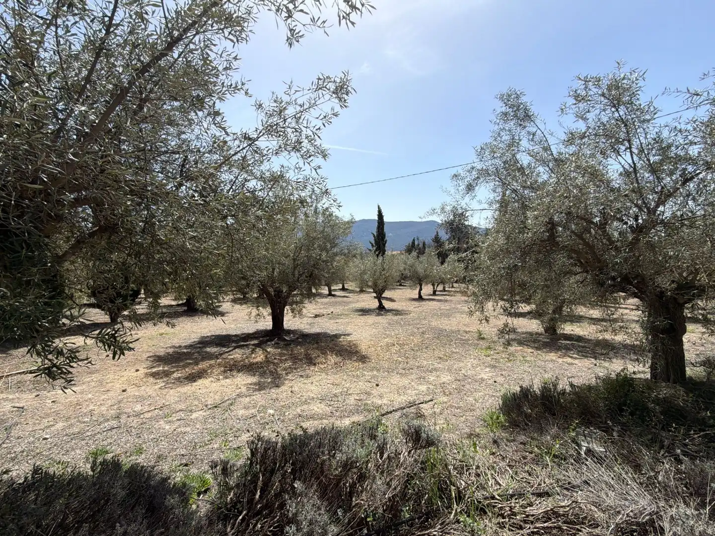 Villa à vendre à Batoi, imagen 7