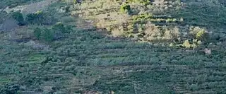 Terreni e lotti in vendita a Los Tablones - La Garnatilla