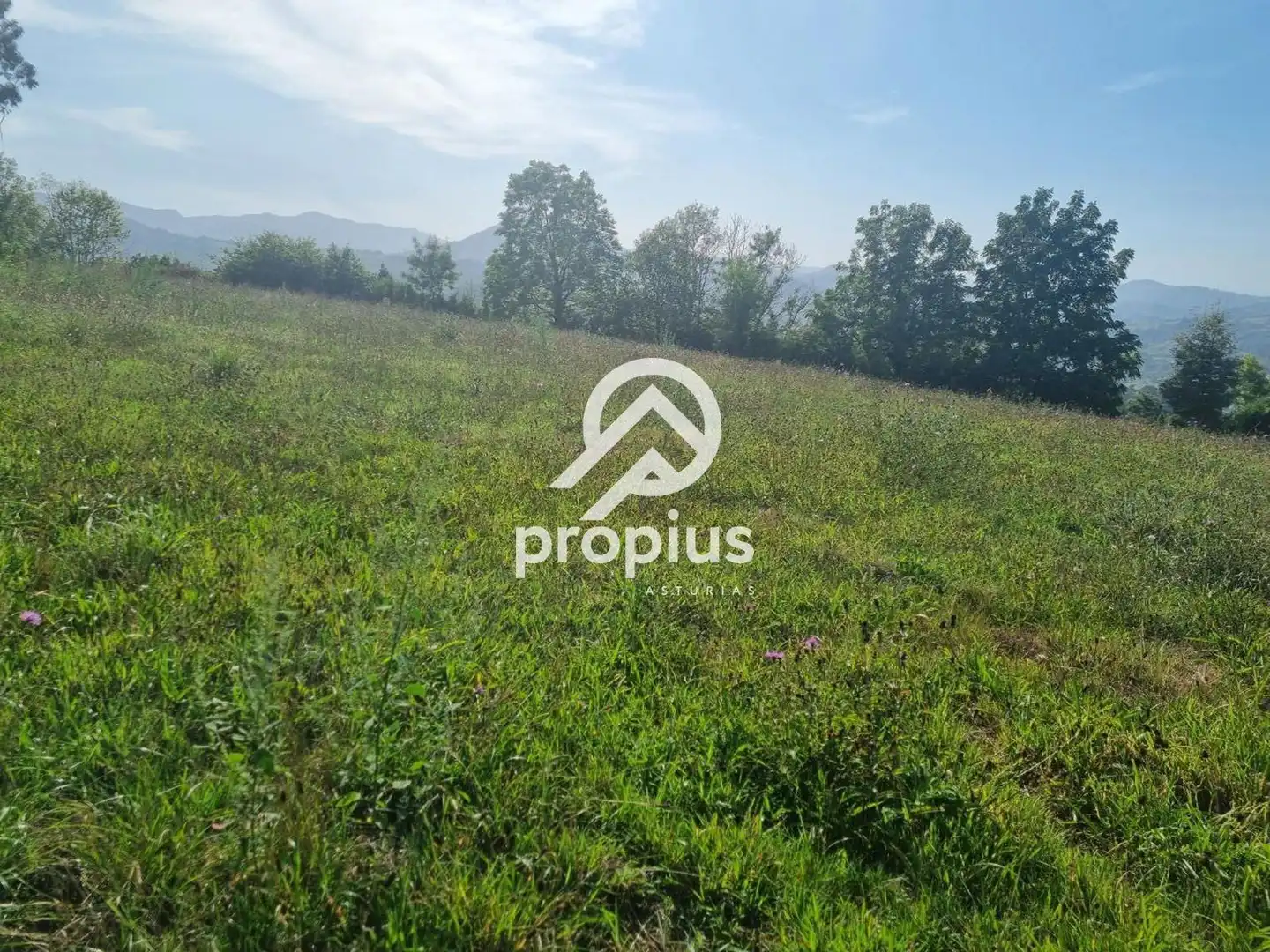 Rural land for sale in Arenas, imagen 7
