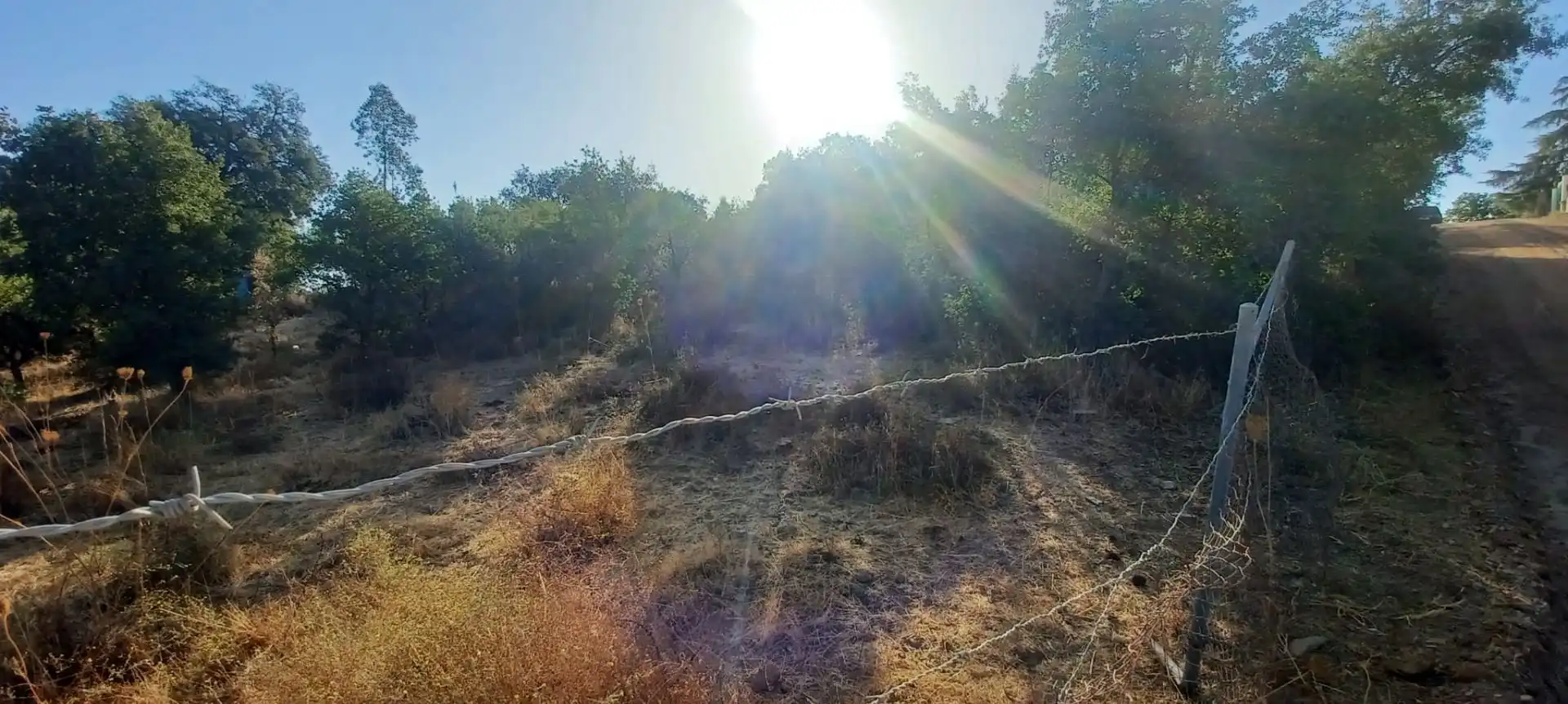 Terreni e lotti in vendita a Castilblanco de los Arroyos, imagen 12