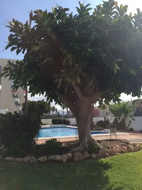 Wohnung mit Pool zum Verkauf in Torre del Mar, imagen 57
