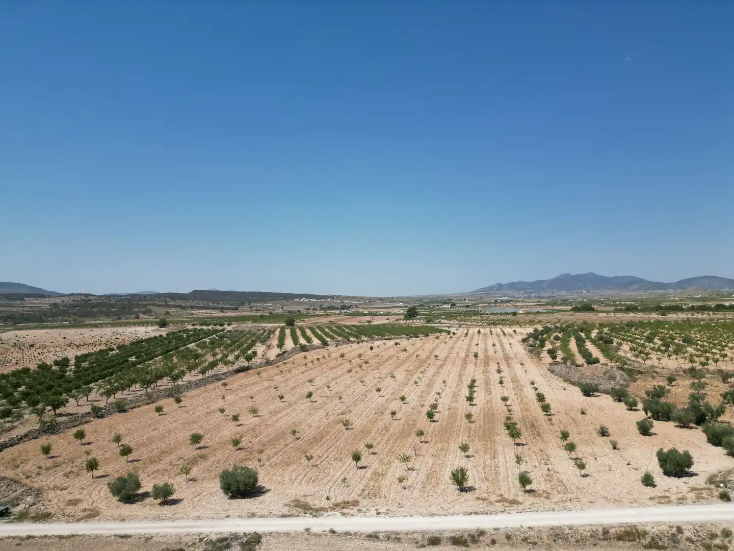 Terreno residencial en venta en El Pinós / Pinoso, imagen 3
